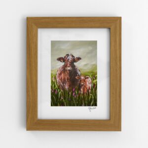 Shorthorn Mother and Calf