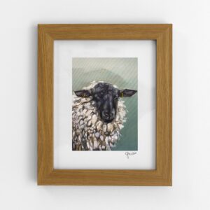 The Watchful Ewe